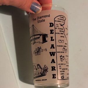 Delaware Souvenir Shot Glass